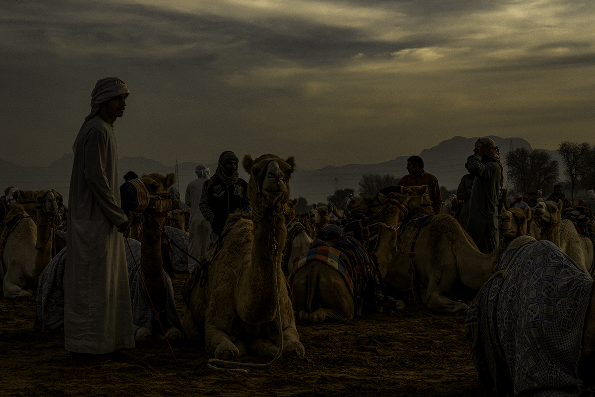 Al Sawan, Ras Al Khaimah, United Arab Emirates