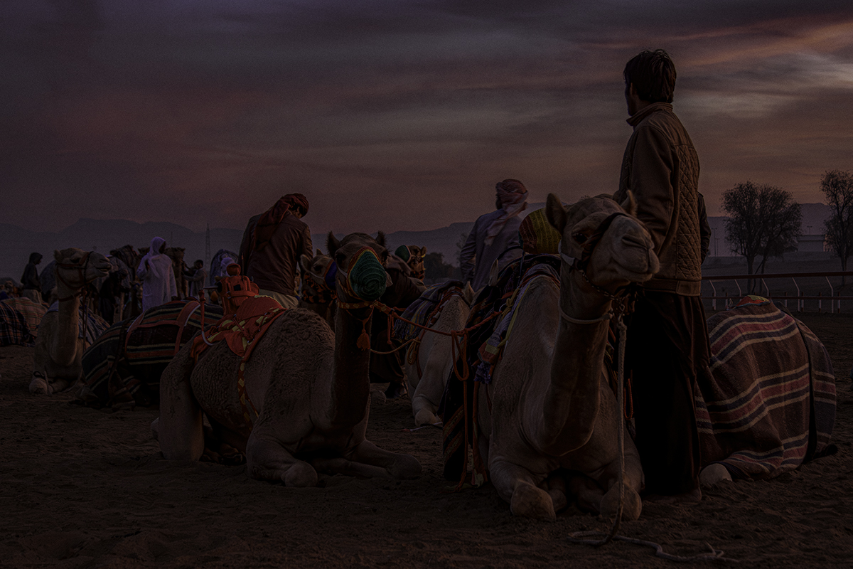 Al Sawan, Ras Al Khaimah, United Arab Emirates