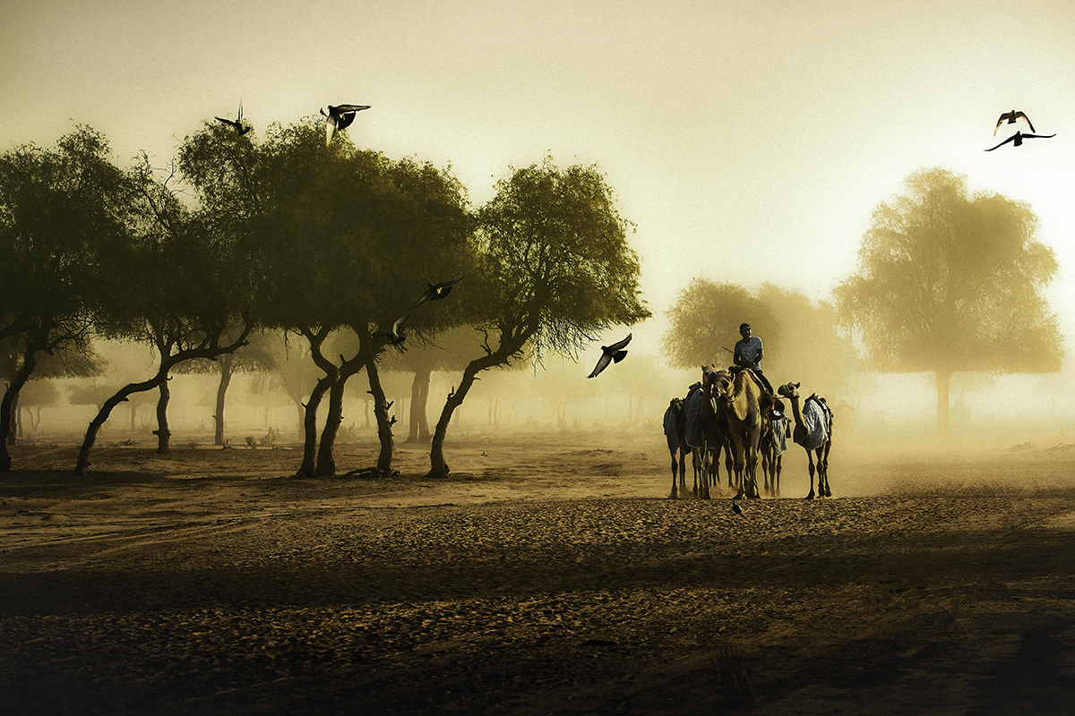 Al Sawan, Ras Al Khaimah, United Arab Emirates