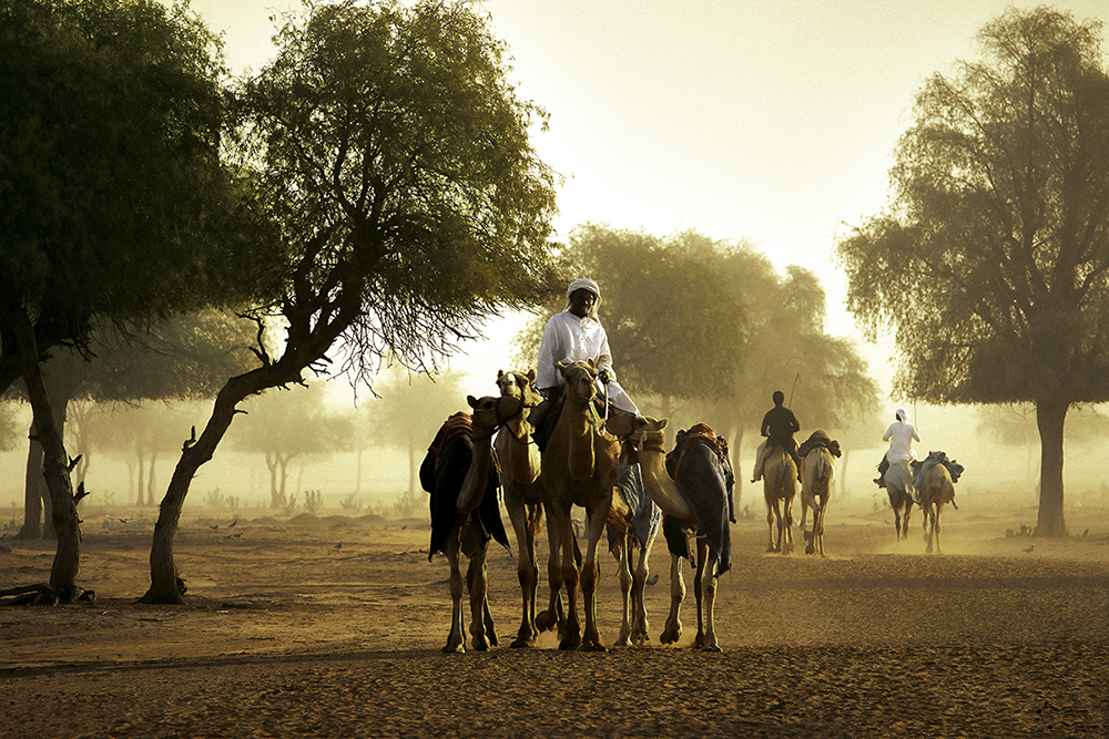 Al Sawan, Ras Al Khaimah, United Arab Emirates