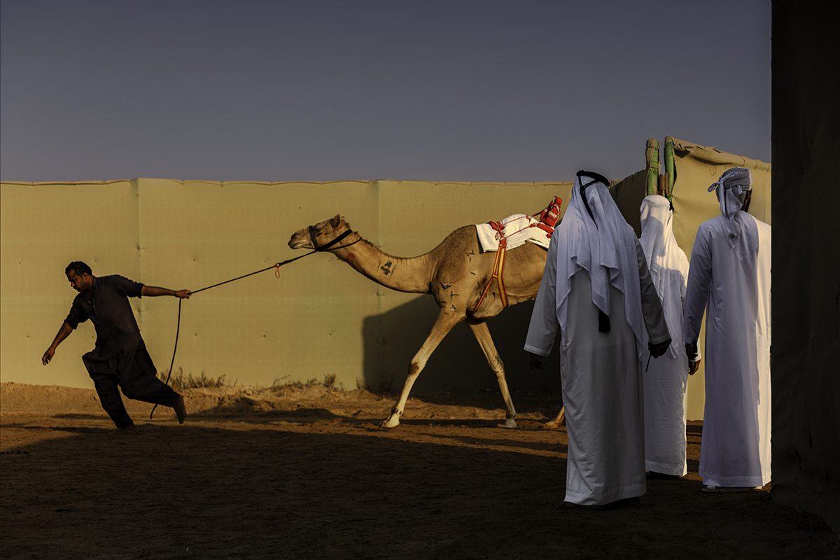 Al Sawan, Ras Al Khaimah, United Arab Emirates