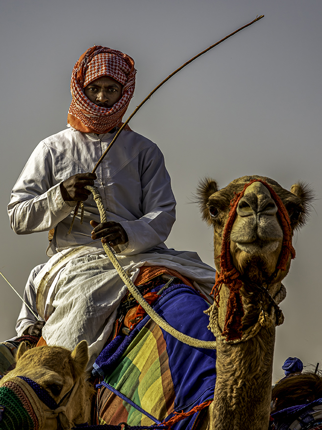 Camels