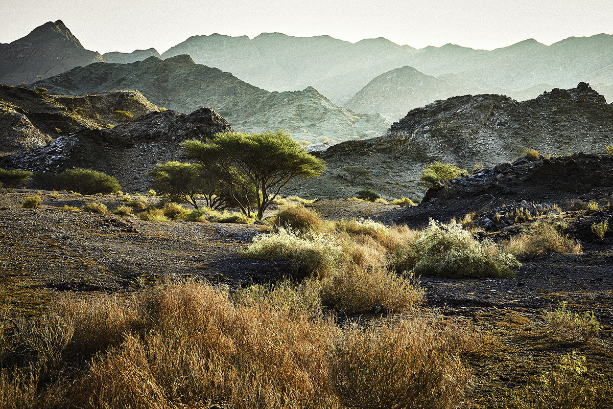 Wadi Ais, Ras Al Khaimah, United Arab Emirates