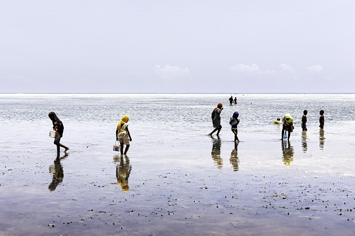 Kilimajuu, Zanzibar