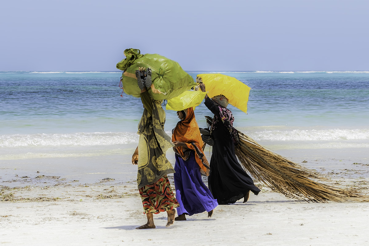 Kilimajuu, Zanzibar