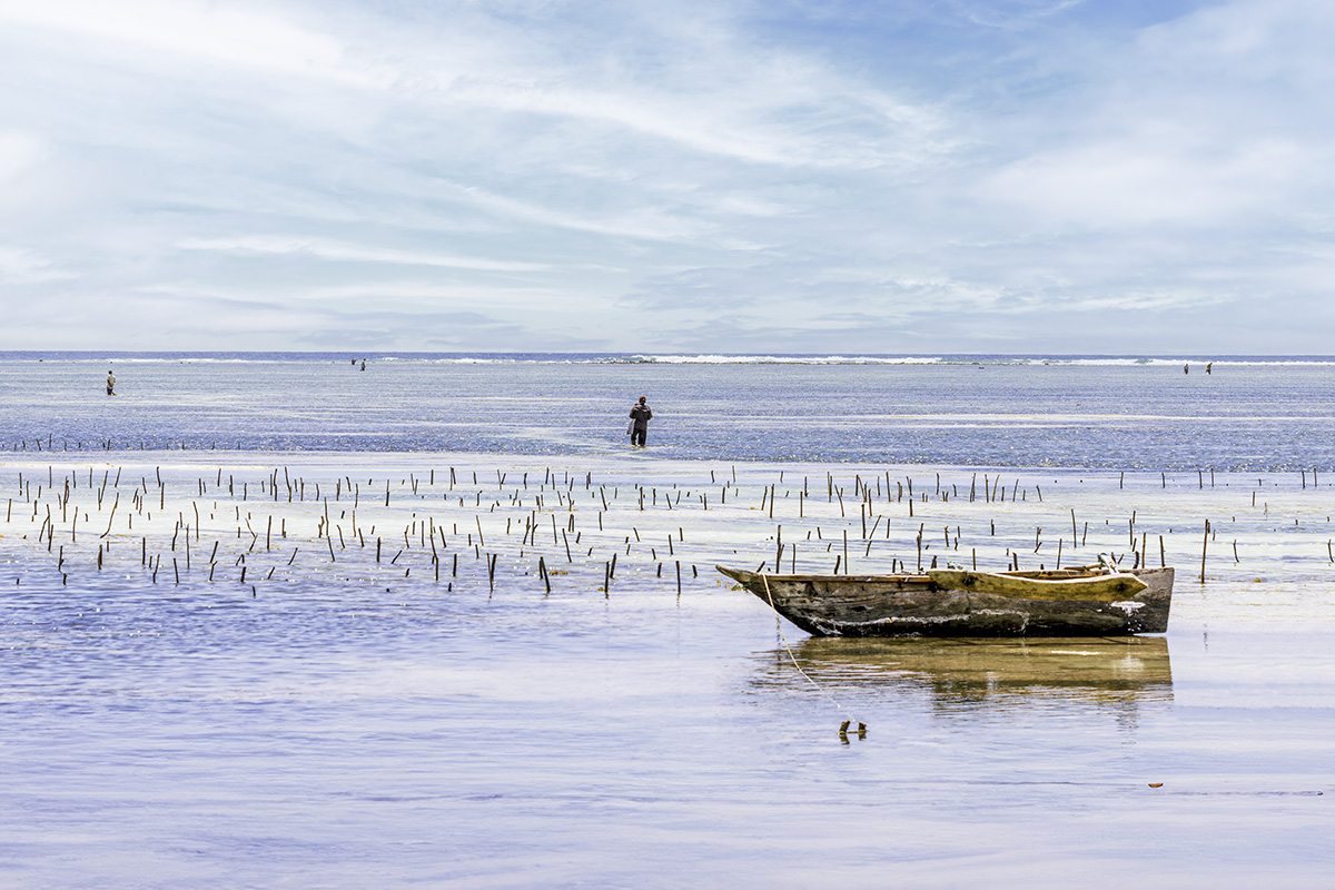 Kilimajuu, Zanzibar