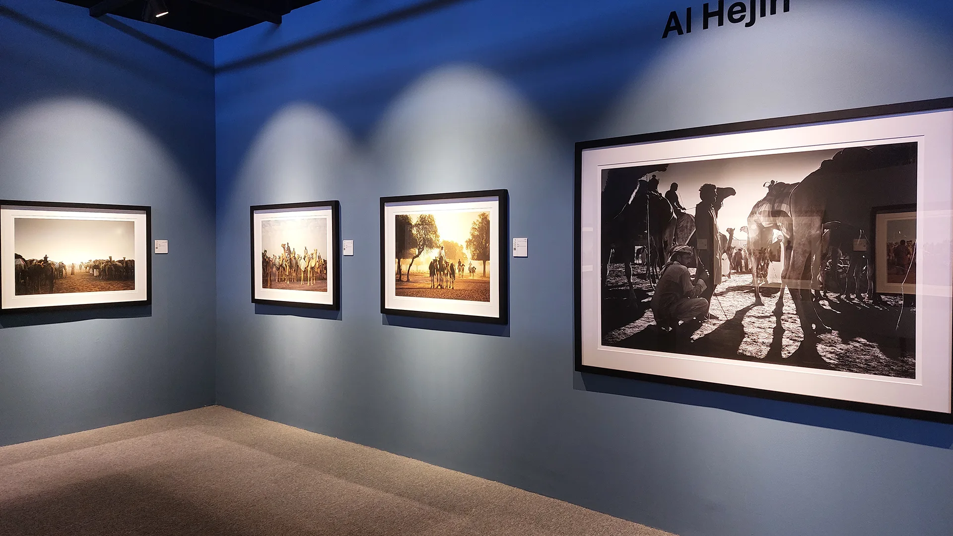 David Learman — exhibition photography