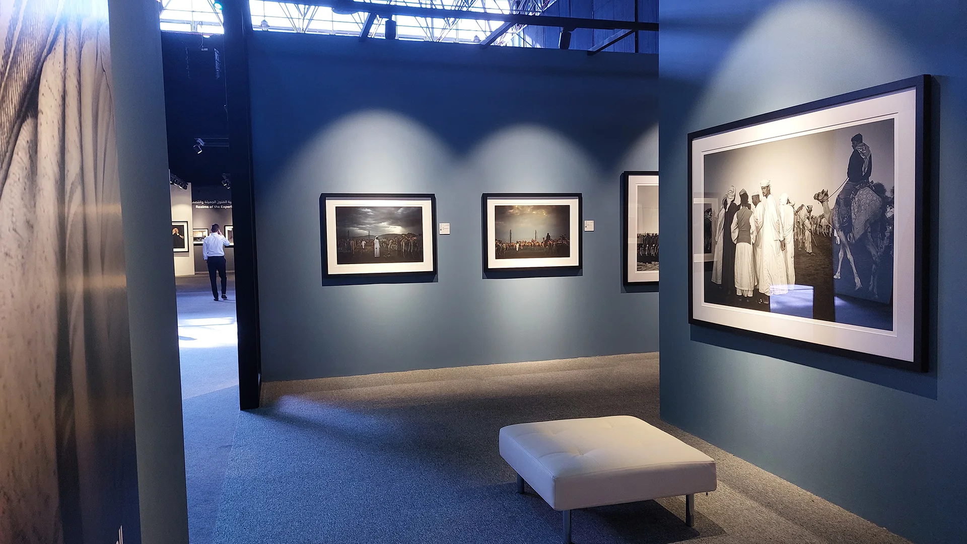 David Learman — exhibition photography