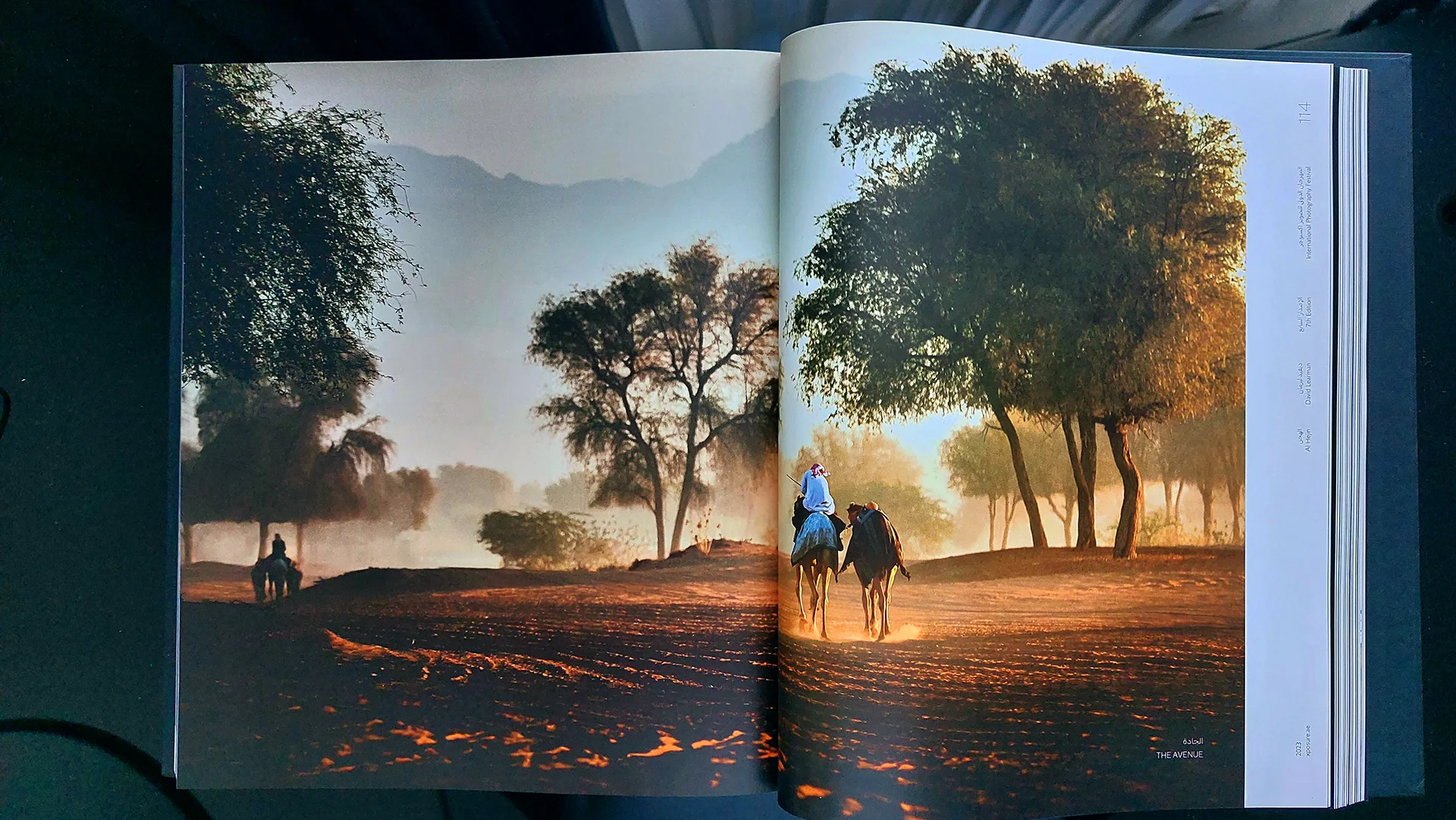 David Learman — exhibition photography