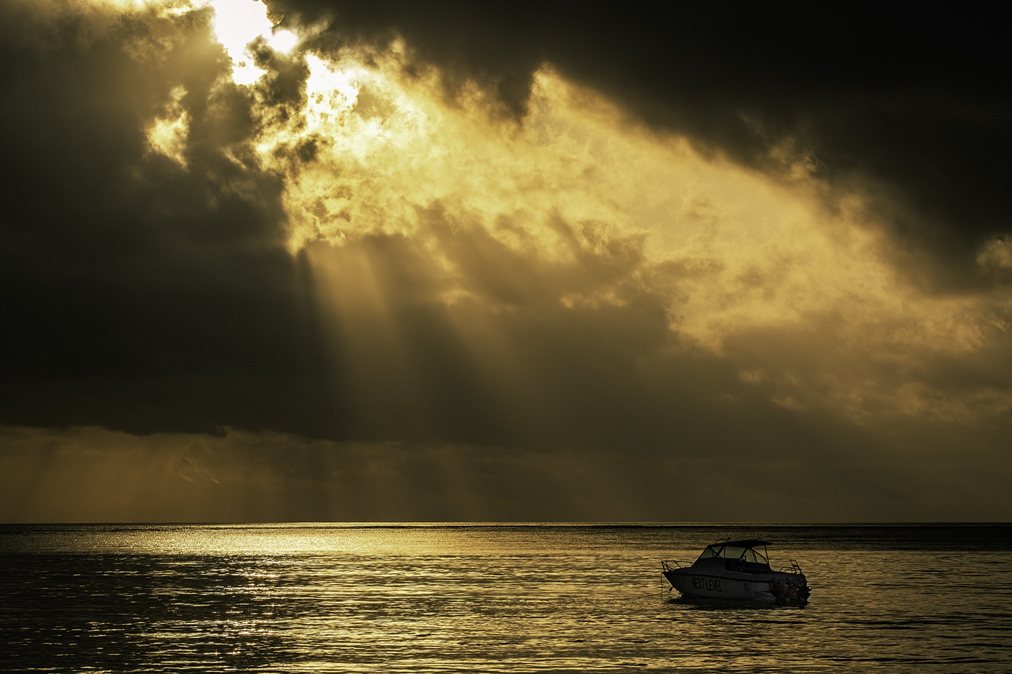 David Learman Photography