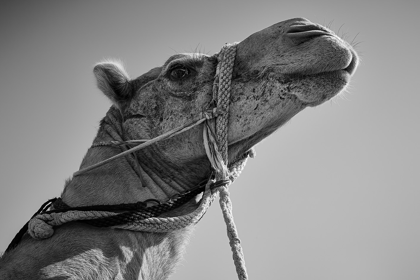 Al Sawan, Ras Al Khaimah, United Arab Emirates