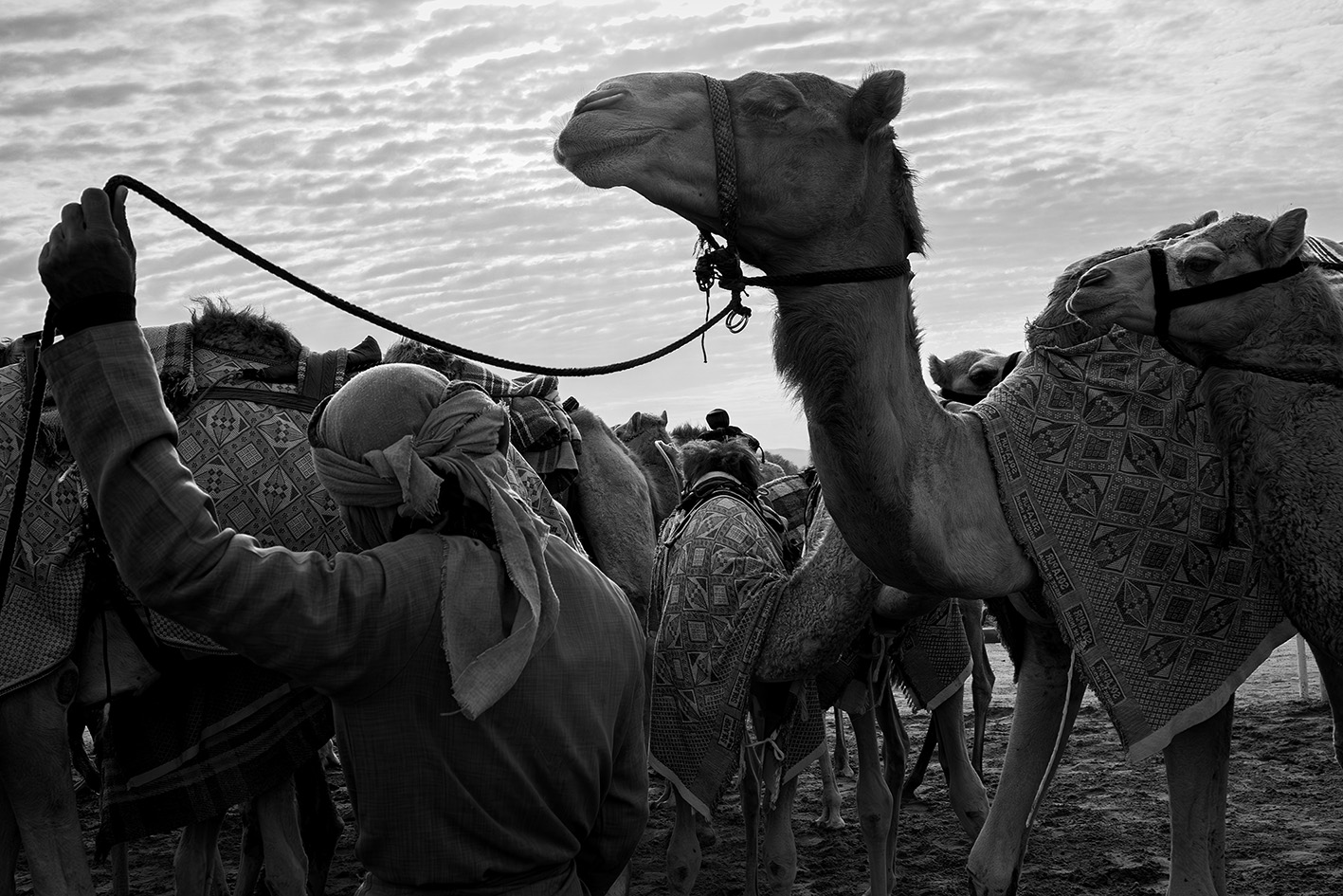 Al Sawan, Ras Al Khaimah, United Arab Emirates