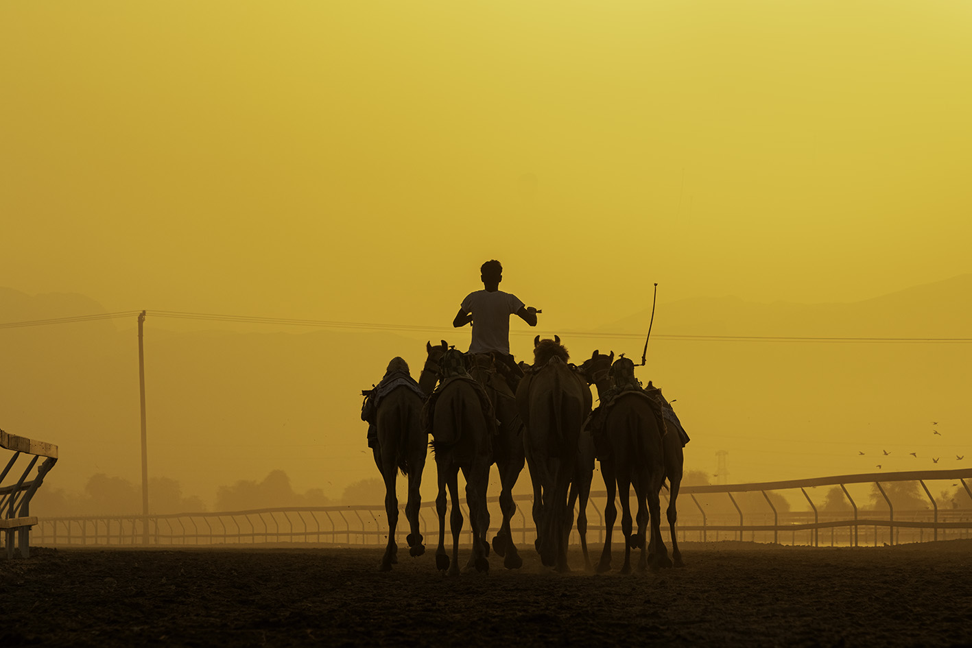 Al Sawan, Ras Al Khaimah, United Arab Emirates