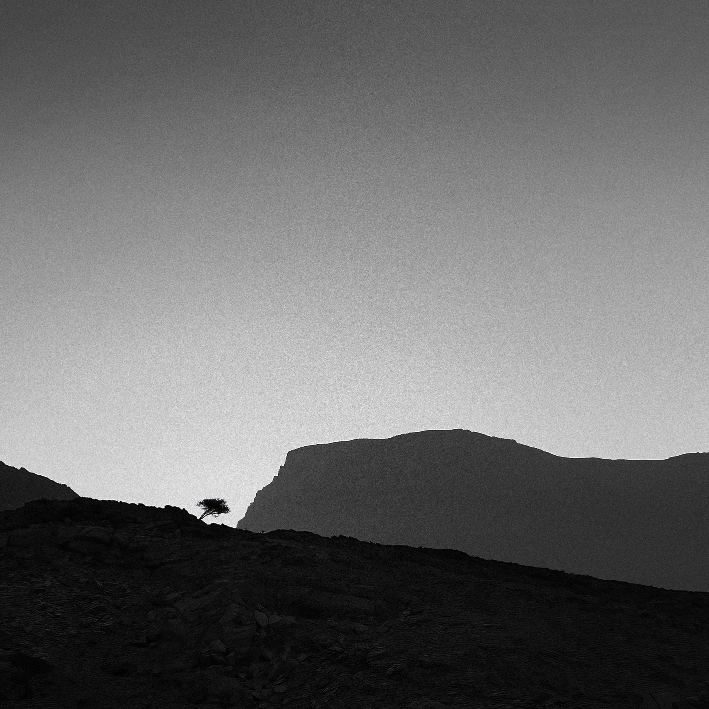 Wadi Galilah, Ras Al Khaimah, United Arab Emirates