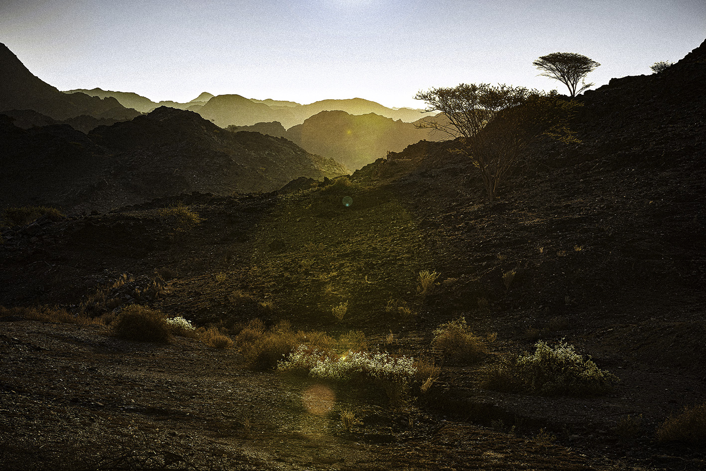 Wadi Taween, Ras Al Khaimah, United Arab Emirates