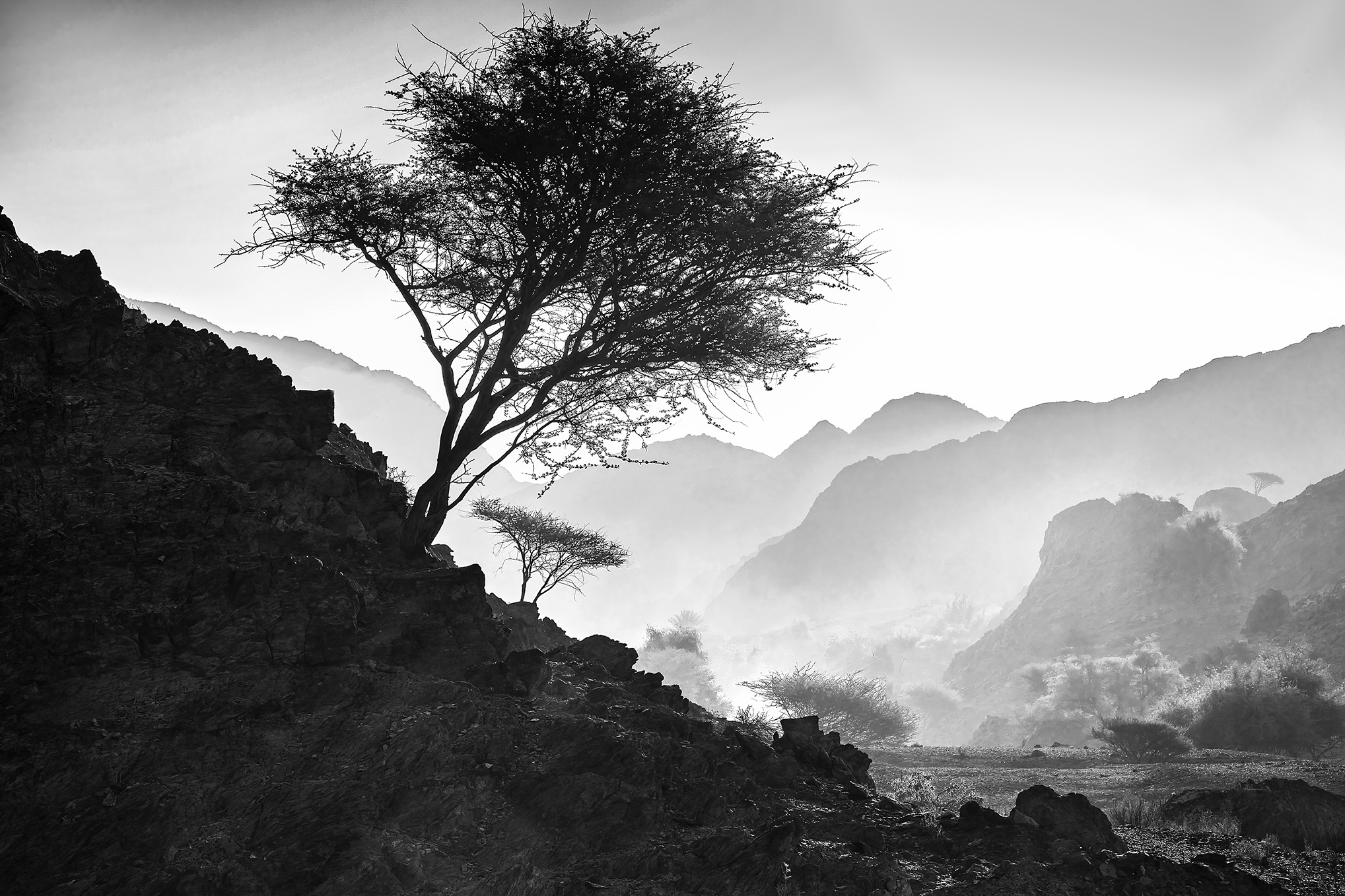 Wadi Ais, Ras Al Khaimah, United Arab Emirates
