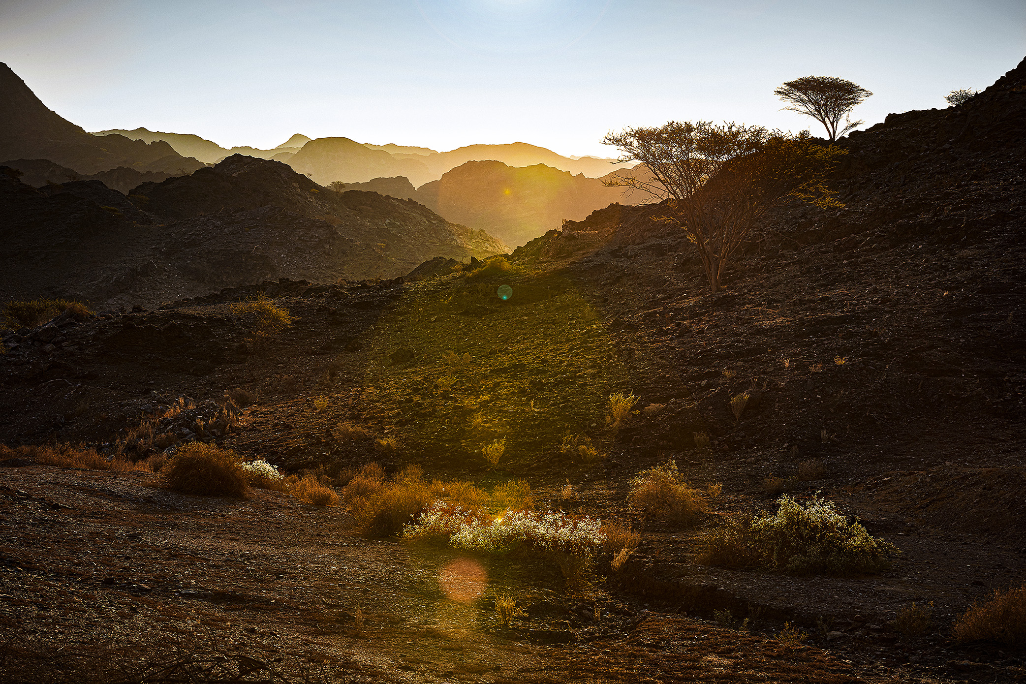 Wadi Ais, Ras Al Khaimah, United Arab Emirates