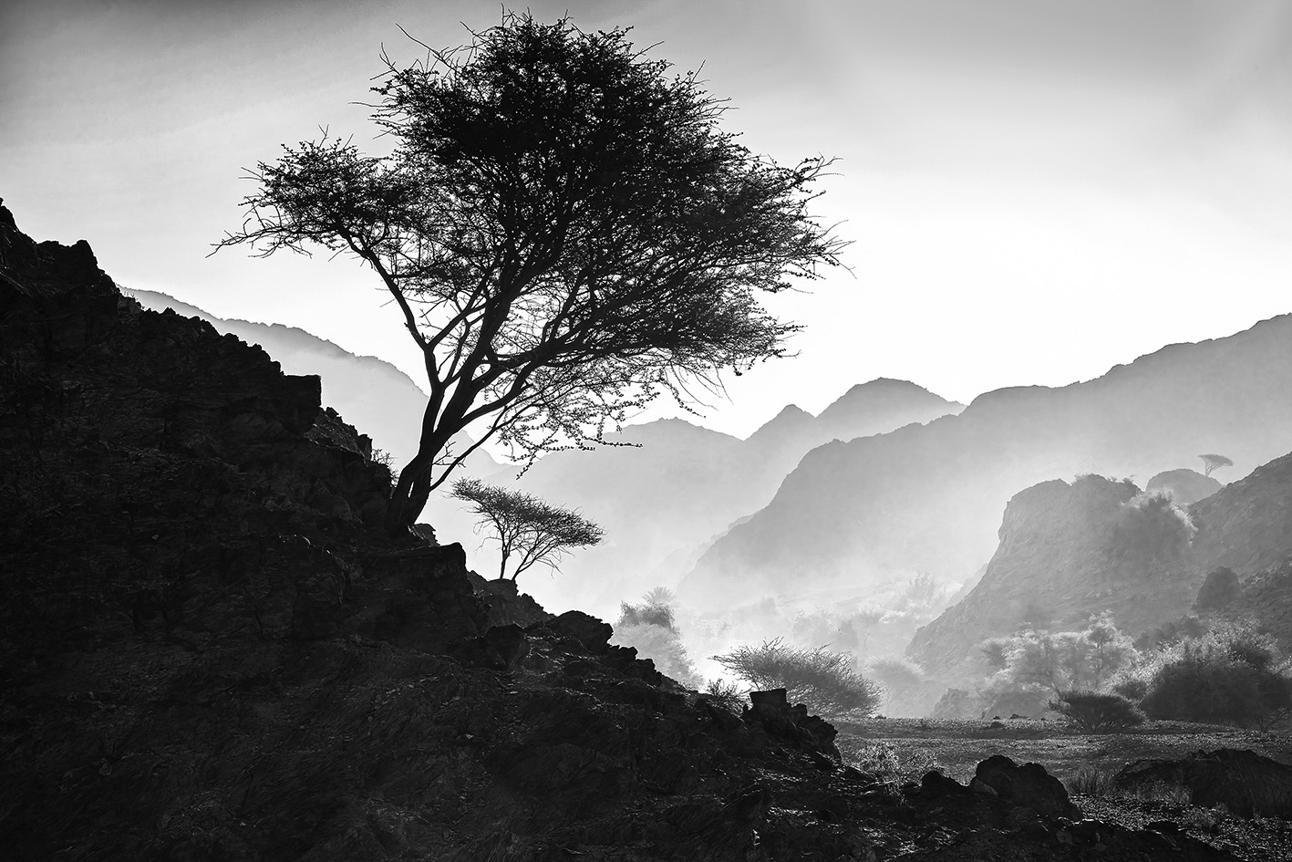 Wadi Ais, Ras Al Khaimah, United Arab Emirates