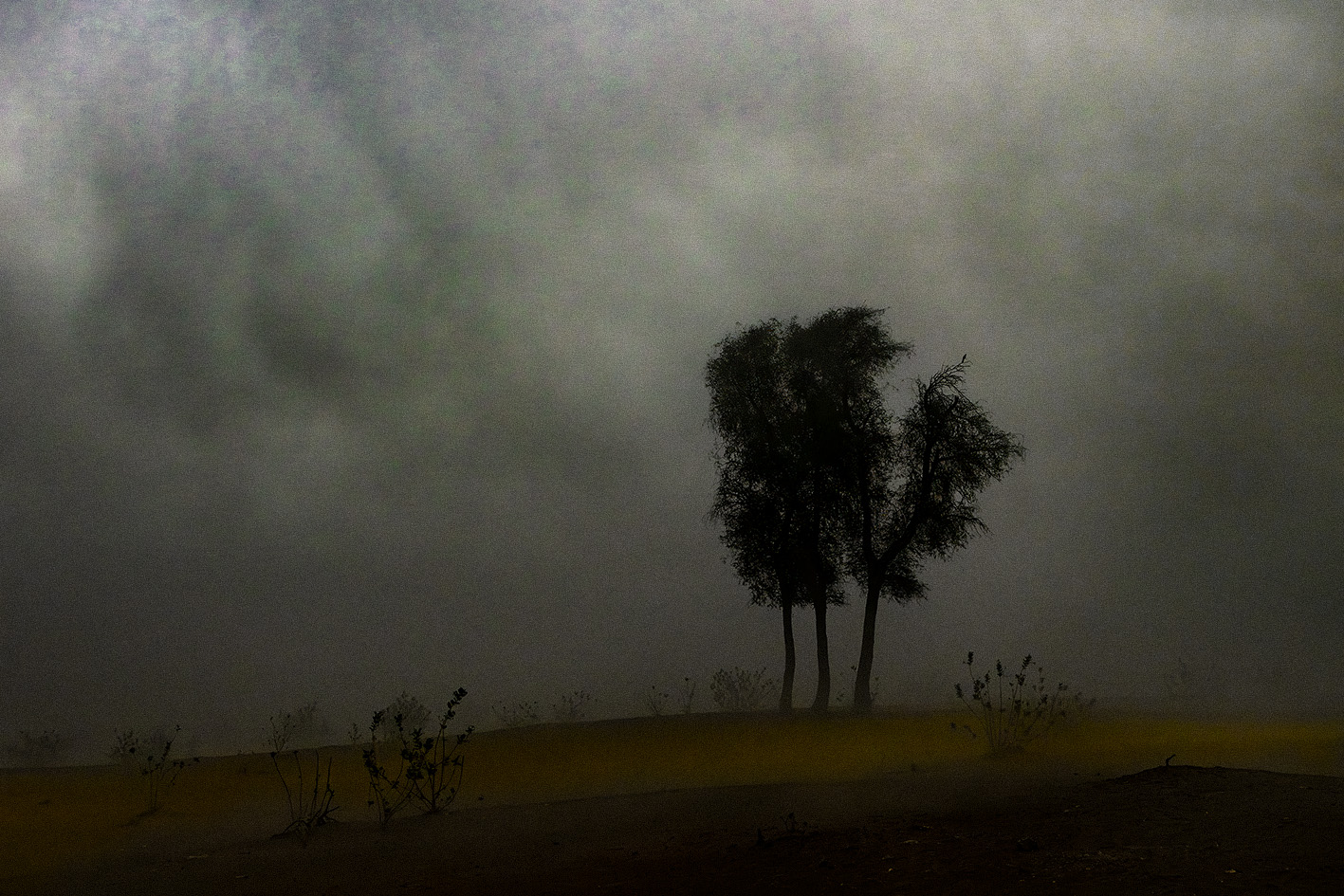 Dhofar, Oman