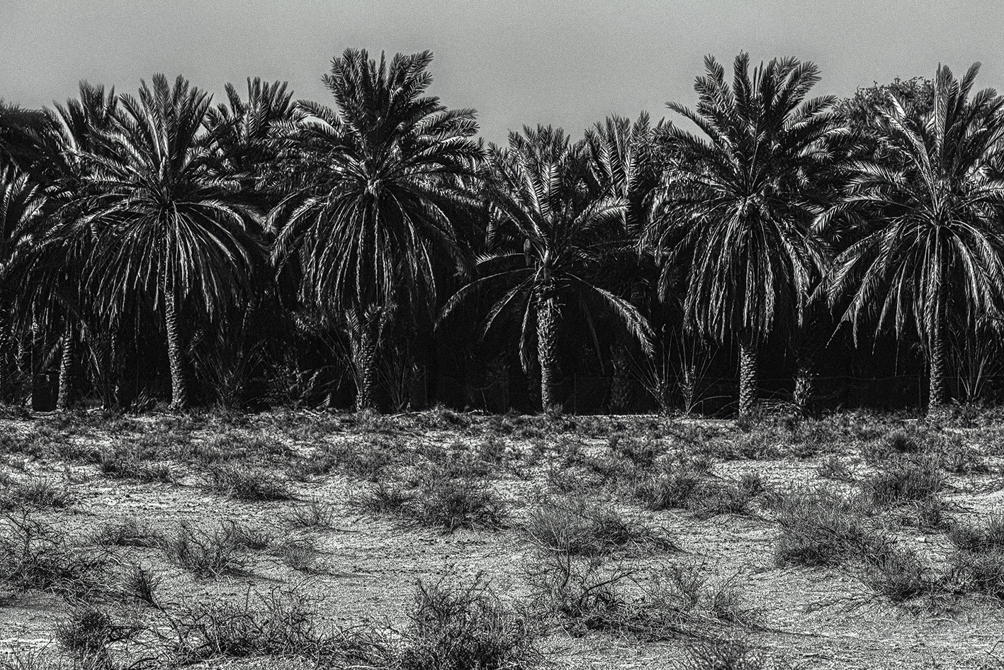 Ras Al Khaimah, United Arab Emirates