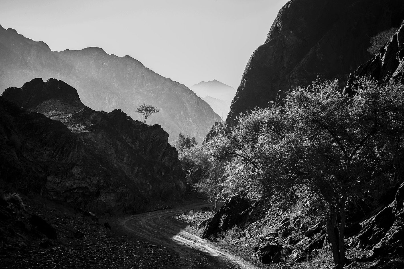 Wadi Ais, Ras Al Khaimah, United Arab Emirates